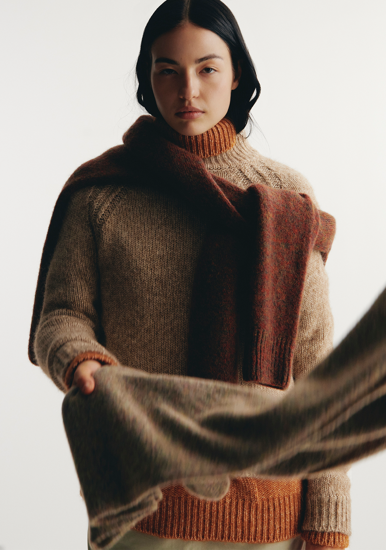 descrizione dell'immagine