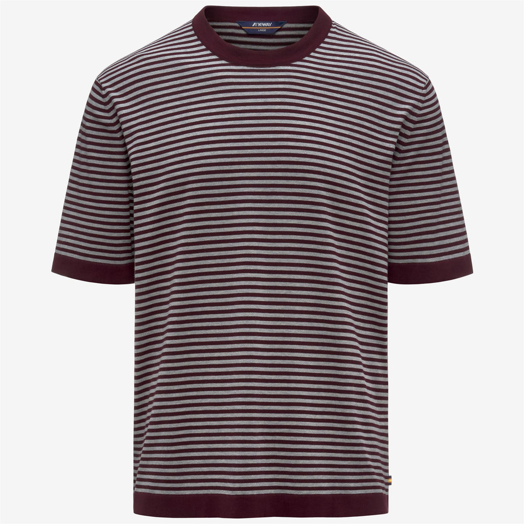 Knitwear_Man_COMBE STRIPES_Pull Over_VIOLET-GREY MELANGE - Commercial 1
