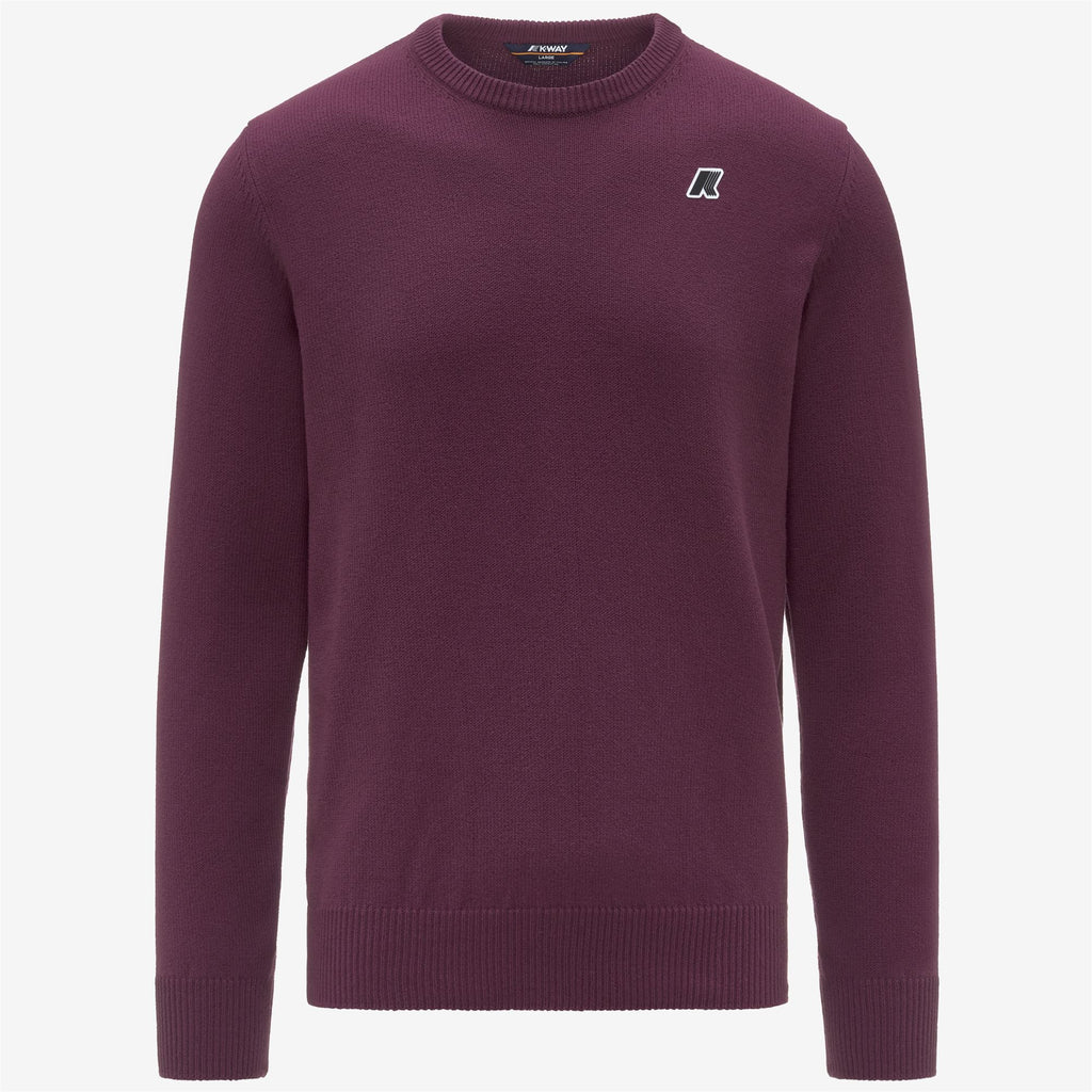 Knitwear_Man_SEBASTIEN MIX COTTON GOLF_Pull Over_Violet Mauve Wine - Commercial 1