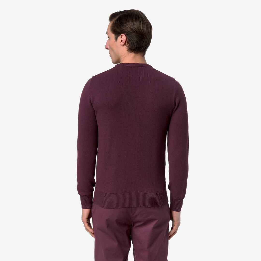 SEBASTIEN MIX COTTON GOLF Knitwear Pull Over Man Violet Mauve Wine main