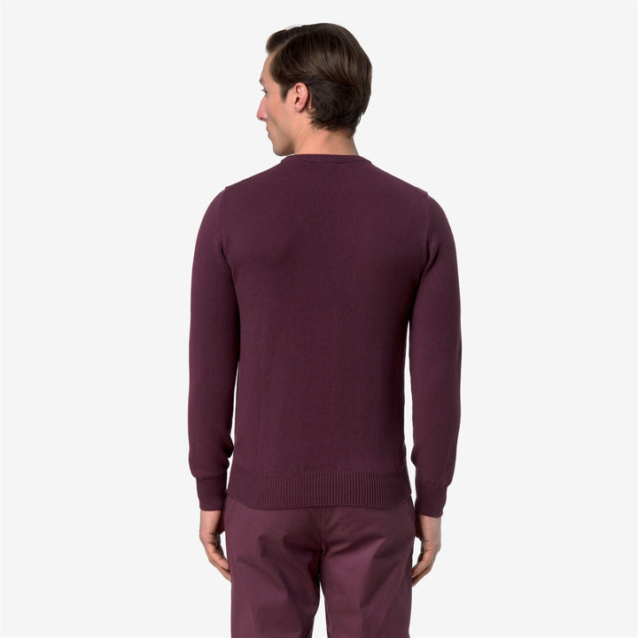 SEBASTIEN MIX COTTON GOLF Knitwear Pull Over Man Violet Mauve Wine 3