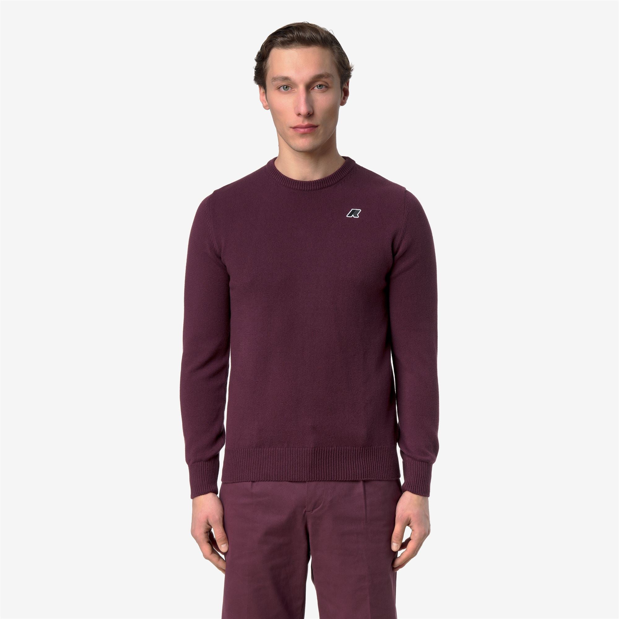 Knitwear_Man_SEBASTIEN MIX COTTON GOLF_Pull Over_Violet Mauve Wine - Commercial 4