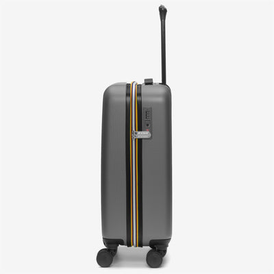 Luggage Bags Unisex CABIN TROLLEY SMALL Trolley METALLIC GREY Dressed Front (jpg Rgb)	
