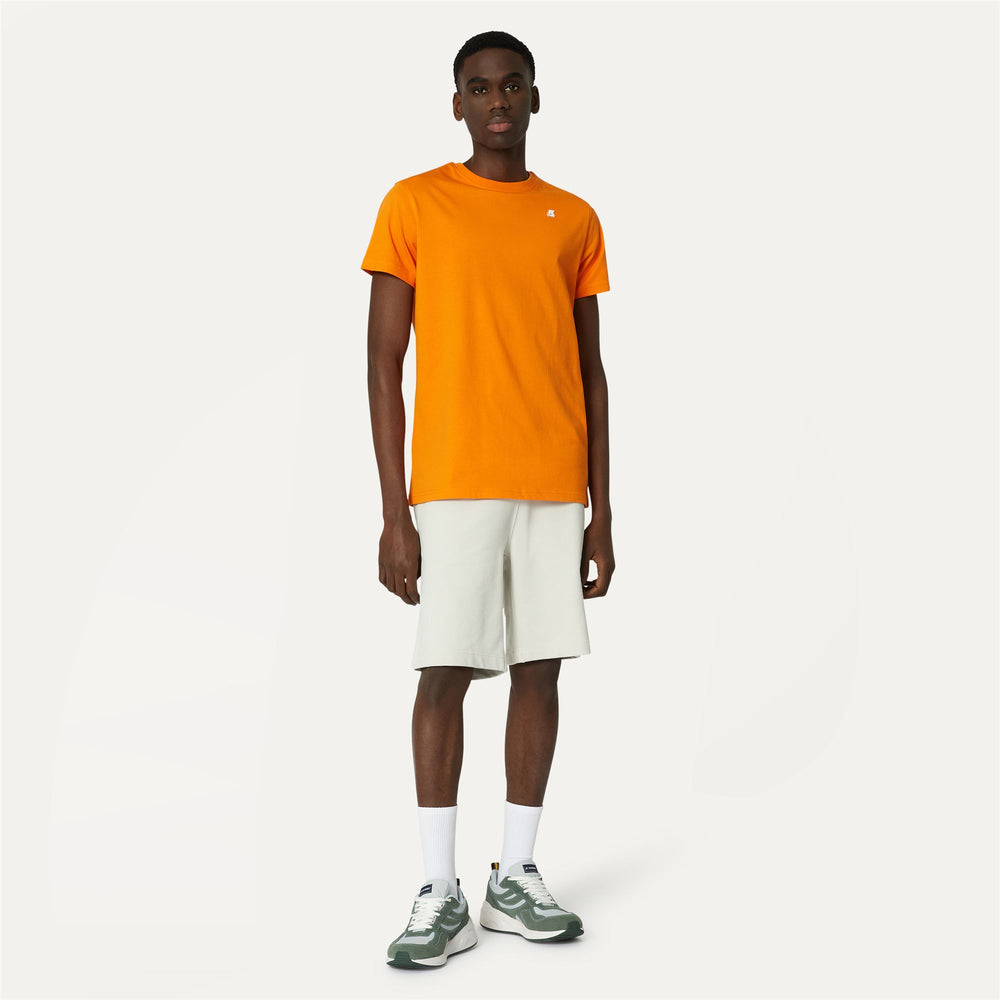 Beige Grey Men's Casual Cotton Bermuda Shorts 02